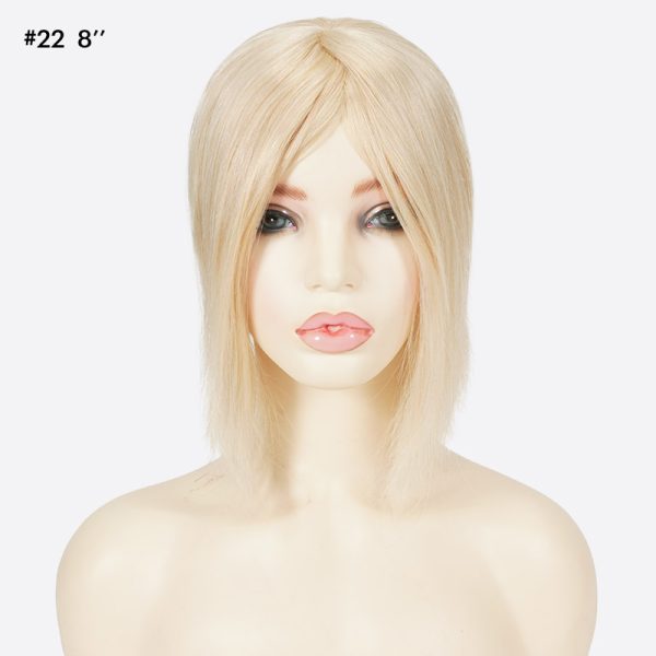 WTP010-17 C22L8