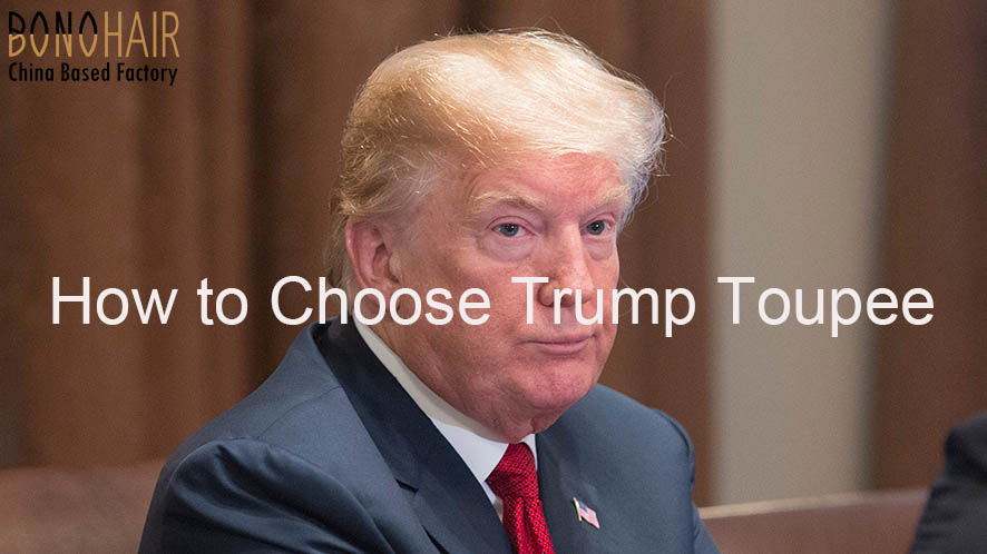 The Trump Toupee Mystery (1)