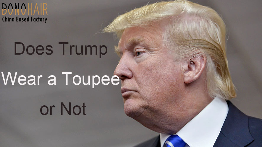 The Trump Toupee Mystery (15)