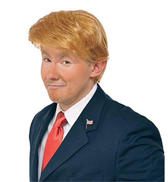The Trump Toupee Mystery (27)