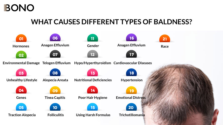 Wondering How to Solve Types of Baldness (1)