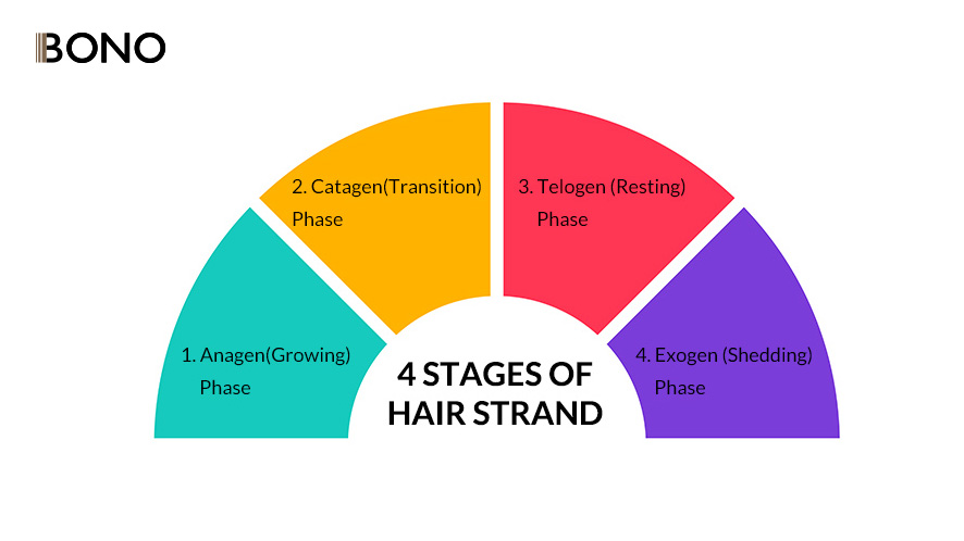 Is Your Hair Loss Normal and How to Treat It (3)
