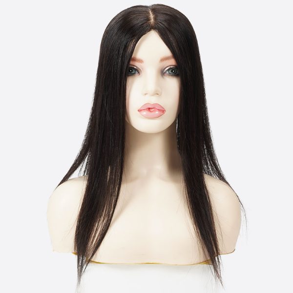 EVE Silk Top Hair Topper Is Women's Topper With Clips From Bono Hair4