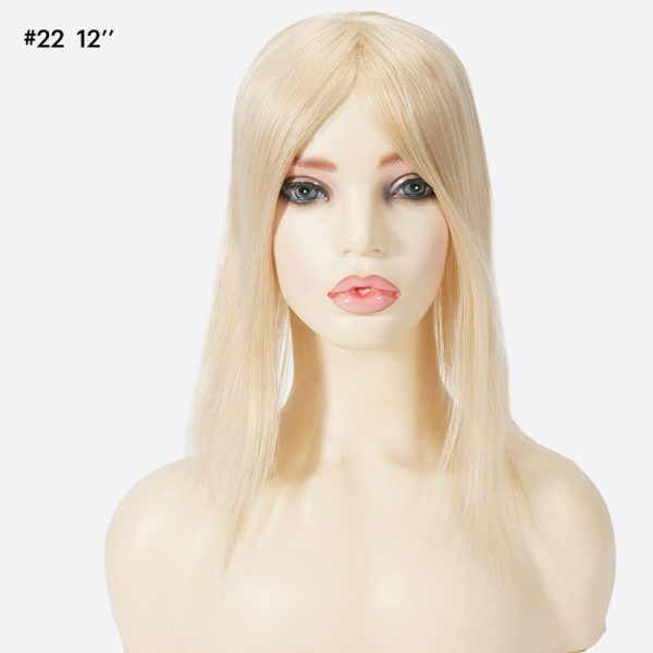 WTP010-29 C22L12